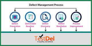 Guide to Defect Management